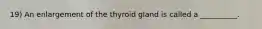 19) An enlargement of the thyroid gland is called a __________.