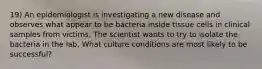 19) An epidemiologist is investigating a new disease and observes what appear to be bacteria inside tissue cells in clinical samples from victims. The scientist wants to try to isolate the bacteria in the lab. What culture conditions are most likely to be successful?