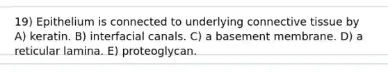 19) Epithelium is connected to underlying connective tissue by A) keratin. B) interfacial canals. C) a basement membrane. D) a reticular lamina. E) proteoglycan.