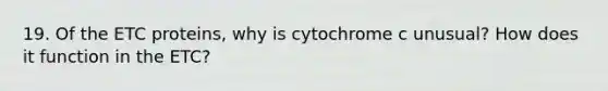 19. Of the ETC proteins, why is cytochrome c unusual? How does it function in the ETC?