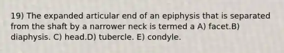 19) The expanded articular end of an epiphysis that is separated from the shaft by a narrower neck is termed a A) facet.B) diaphysis. C) head.D) tubercle. E) condyle.