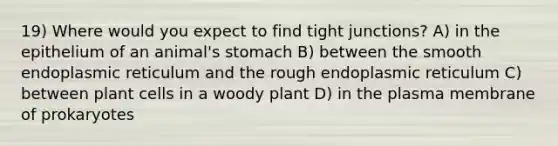 19) Where would you expect to find tight junctions? A) in the epithelium of an animal's stomach B) between the smooth endoplasmic reticulum and the rough endoplasmic reticulum C) between plant cells in a woody plant D) in the plasma membrane of prokaryotes