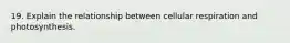 19. Explain the relationship between cellular respiration and photosynthesis.