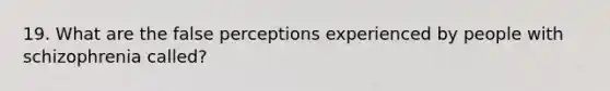 19. What are the false perceptions experienced by people with schizophrenia called?