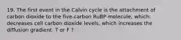 19. The first event in the Calvin cycle is the attachment of carbon dioxide to the five-carbon RuBP molecule, which: decreases cell carbon dioxide levels, which increases the diffusion gradient. T or F ?