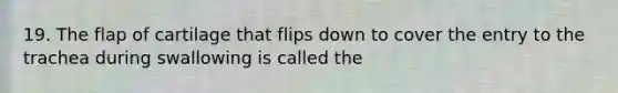 19. The flap of cartilage that flips down to cover the entry to the trachea during swallowing is called the