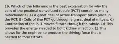 19. Which of the following is the best explanation for why the cells of the proximal convoluted tubule (PCT) contain so many mitochondria? A) A great deal of active transport takes place in the PCT. B) Cells of the PCT go through a great deal of mitosis. C) Contraction of the PCT moves filtrate through the tubule. D) This provides the energy needed to fight kidney infection. E) This allows for the nephron to produce the driving force that is needed to form filtrate