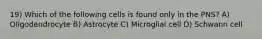 19) Which of the following cells is found only in the PNS? A) Oligodendrocyte B) Astrocyte C) Microglial cell D) Schwann cell