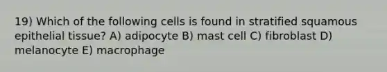 19) Which of the following cells is found in stratified squamous epithelial tissue? A) adipocyte B) mast cell C) fibroblast D) melanocyte E) macrophage