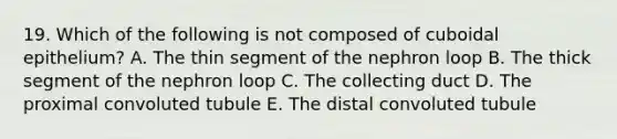 19. Which of the following is not composed of cuboidal epithelium? A. The thin segment of the nephron loop B. The thick segment of the nephron loop C. The collecting duct D. The proximal convoluted tubule E. The distal convoluted tubule