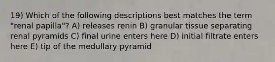 19) Which of the following descriptions best matches the term "renal papilla"? A) releases renin B) granular tissue separating renal pyramids C) final urine enters here D) initial filtrate enters here E) tip of the medullary pyramid