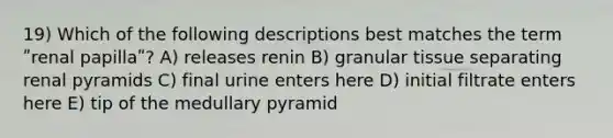 19) Which of the following descriptions best matches the term ʺrenal papillaʺ? A) releases renin B) granular tissue separating renal pyramids C) final urine enters here D) initial filtrate enters here E) tip of the medullary pyramid