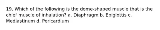 19. Which of the following is the dome-shaped muscle that is the chief muscle of inhalation? a. Diaphragm b. Epiglottis c. Mediastinum d. Pericardium