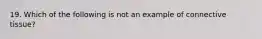 19. Which of the following is not an example of connective tissue?
