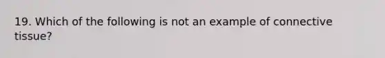 19. Which of the following is not an example of connective tissue?