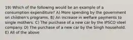 19) Which of the following would be an example of a consumption expenditure? A) More spending by the government on children's programs. B) An increase in welfare payments to single mothers. C) The purchase of a new car by the IPSCO steel company. D) The purchase of a new car by the Singh household. E) All of the above