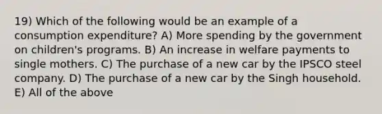 19) Which of the following would be an example of a consumption expenditure? A) More spending by the government on children's programs. B) An increase in welfare payments to single mothers. C) The purchase of a new car by the IPSCO steel company. D) The purchase of a new car by the Singh household. E) All of the above