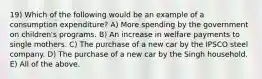 19) Which of the following would be an example of a consumption expenditure? A) More spending by the government on children's programs. B) An increase in welfare payments to single mothers. C) The purchase of a new car by the IPSCO steel company. D) The purchase of a new car by the Singh household. E) All of the above.