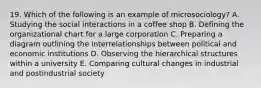 19. Which of the following is an example of microsociology? A. Studying the social interactions in a coffee shop B. Defining the organizational chart for a large corporation C. Preparing a diagram outlining the interrelationships between political and economic institutions D. Observing the hierarchical structures within a university E. Comparing cultural changes in industrial and postindustrial society