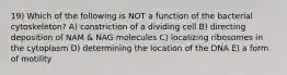 19) Which of the following is NOT a function of the bacterial cytoskeleton? A) constriction of a dividing cell B) directing deposition of NAM & NAG molecules C) localizing ribosomes in the cytoplasm D) determining the location of the DNA E) a form of motility