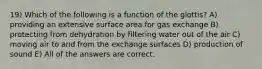 19) Which of the following is a function of the glottis? A) providing an extensive surface area for gas exchange B) protecting from dehydration by filtering water out of the air C) moving air to and from the exchange surfaces D) production of sound E) All of the answers are correct.