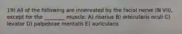 19) All of the following are innervated by the facial nerve (N VII), except for the ________ muscle. A) risorius B) orbicularis oculi C) levator D) palpebrae mentalis E) auricularis