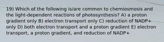 19) Which of the following is/are common to chemiosmosis and the light-dependent reactions of photosynthesis? A) a proton gradient only B) electron transport only C) reduction of NADP+ only D) both electron transport and a proton gradient E) electron transport, a proton gradient, and reduction of NADP+