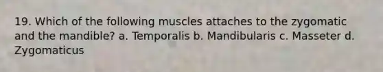 19. Which of the following muscles attaches to the zygomatic and the mandible? a. Temporalis b. Mandibularis c. Masseter d. Zygomaticus