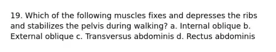 19. Which of the following muscles fixes and depresses the ribs and stabilizes the pelvis during walking? a. Internal oblique b. External oblique c. Transversus abdominis d. Rectus abdominis