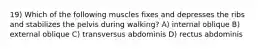 19) Which of the following muscles fixes and depresses the ribs and stabilizes the pelvis during walking? A) internal oblique B) external oblique C) transversus abdominis D) rectus abdominis