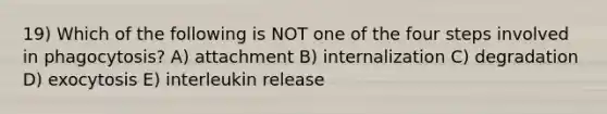 19) Which of the following is NOT one of the four steps involved in phagocytosis? A) attachment B) internalization C) degradation D) exocytosis E) interleukin release