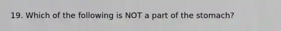 19. Which of the following is NOT a part of the stomach?