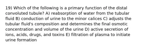 19) Which of the following is a primary function of the distal convoluted tubule? A) reabsorption of water from the tubular fluid B) conduction of urine to the minor calices C) adjusts the tubular fluid's composition and determines the final osmotic concentration and volume of the urine D) active secretion of ions, acids, drugs, and toxins E) filtration of plasma to initiate urine formation