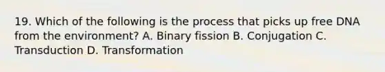 19. Which of the following is the process that picks up free DNA from the environment? A. Binary fission B. Conjugation C. Transduction D. Transformation