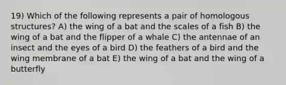 19) Which of the following represents a pair of homologous structures? A) the wing of a bat and the scales of a fish B) the wing of a bat and the flipper of a whale C) the antennae of an insect and the eyes of a bird D) the feathers of a bird and the wing membrane of a bat E) the wing of a bat and the wing of a butterfly