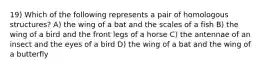 19) Which of the following represents a pair of homologous structures? A) the wing of a bat and the scales of a fish B) the wing of a bird and the front legs of a horse C) the antennae of an insect and the eyes of a bird D) the wing of a bat and the wing of a butterfly