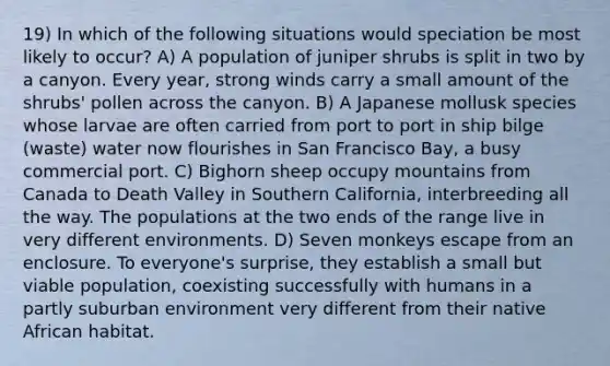 19) In which of the following situations would speciation be most likely to occur? A) A population of juniper shrubs is split in two by a canyon. Every year, strong winds carry a small amount of the shrubs' pollen across the canyon. B) A Japanese mollusk species whose larvae are often carried from port to port in ship bilge (waste) water now flourishes in San Francisco Bay, a busy commercial port. C) Bighorn sheep occupy mountains from Canada to Death Valley in Southern California, interbreeding all the way. The populations at the two ends of the range live in very different environments. D) Seven monkeys escape from an enclosure. To everyone's surprise, they establish a small but viable population, coexisting successfully with humans in a partly suburban environment very different from their native African habitat.