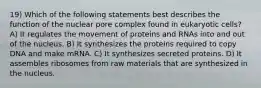 19) Which of the following statements best describes the function of the nuclear pore complex found in eukaryotic cells? A) It regulates the movement of proteins and RNAs into and out of the nucleus. B) It synthesizes the proteins required to copy DNA and make mRNA. C) It synthesizes secreted proteins. D) It assembles ribosomes from raw materials that are synthesized in the nucleus.