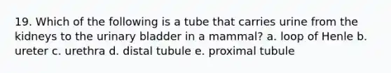 19. Which of the following is a tube that carries urine from the kidneys to the urinary bladder in a mammal? a. loop of Henle b. ureter c. urethra d. distal tubule e. proximal tubule