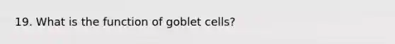 19. What is the function of goblet cells?