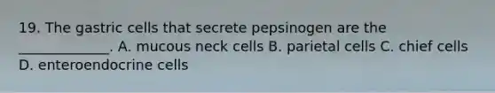 19. The gastric cells that secrete pepsinogen are the _____________. A. mucous neck cells B. parietal cells C. chief cells D. enteroendocrine cells