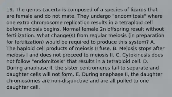 19. The genus Lacerta is composed of a species of lizards that are female and do not mate. They undergo "endomitosis" where one extra chromosome replication results in a tetraploid cell before meiosis begins. Normal female 2n offspring result without fertilization. What change(s) from regular meiosis (in preparation for fertilization) would be required to produce this system? A. The haploid cell products of meiosis II fuse. B. Meiosis stops after meiosis I and does not proceed to meiosis II. C. Cytokinesis does not follow "endomitosis" that results in a tetraploid cell. D. During anaphase II, the sister centromeres fail to separate and daughter cells will not form. E. During anaphase II, the daughter chromosomes are non-disjunctive and are all pulled to one daughter cell.