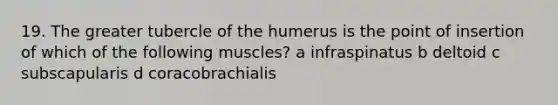 19. The greater tubercle of the humerus is the point of insertion of which of the following muscles? a infraspinatus b deltoid c subscapularis d coracobrachialis