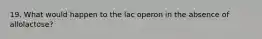 19. What would happen to the lac operon in the absence of allolactose?