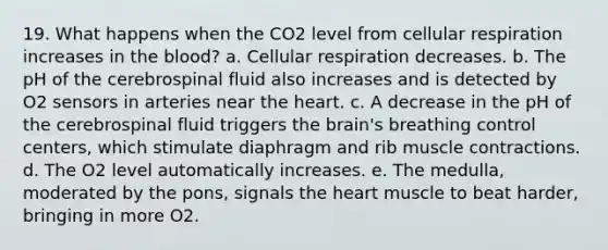 19. What happens when the CO2 level from cellular respiration increases in <a href='https://www.questionai.com/knowledge/k7oXMfj7lk-the-blood' class='anchor-knowledge'>the blood</a>? a. Cellular respiration decreases. b. The pH of the cerebrospinal fluid also increases and is detected by O2 sensors in arteries near the heart. c. A decrease in the pH of the cerebrospinal fluid triggers <a href='https://www.questionai.com/knowledge/kLMtJeqKp6-the-brain' class='anchor-knowledge'>the brain</a>'s breathing control centers, which stimulate diaphragm and rib <a href='https://www.questionai.com/knowledge/k0LBwLeEer-muscle-contraction' class='anchor-knowledge'>muscle contraction</a>s. d. The O2 level automatically increases. e. The medulla, moderated by the pons, signals the heart muscle to beat harder, bringing in more O2.