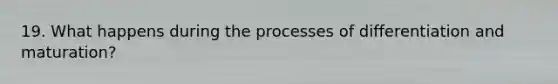 19. What happens during the processes of differentiation and maturation?