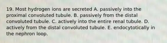 19. Most hydrogen ions are secreted A. passively into the proximal convoluted tubule. B. passively from the distal convoluted tubule. C. actively into the entire renal tubule. D. actively from the distal convoluted tubule. E. endocytotically in the nephron loop.