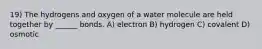 19) The hydrogens and oxygen of a water molecule are held together by ______ bonds. A) electron B) hydrogen C) covalent D) osmotic