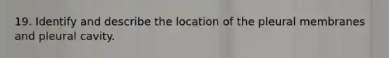 19. Identify and describe the location of the pleural membranes and pleural cavity.