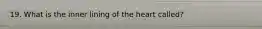 19. What is the inner lining of the heart called?